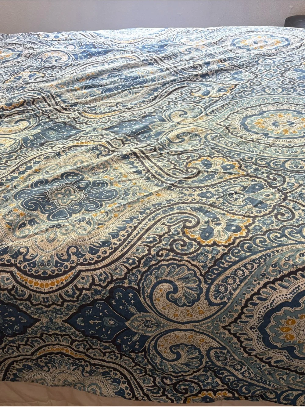 Pottery Barn Paisley Duvet Set with Vintage Hand-Embroidered Shams